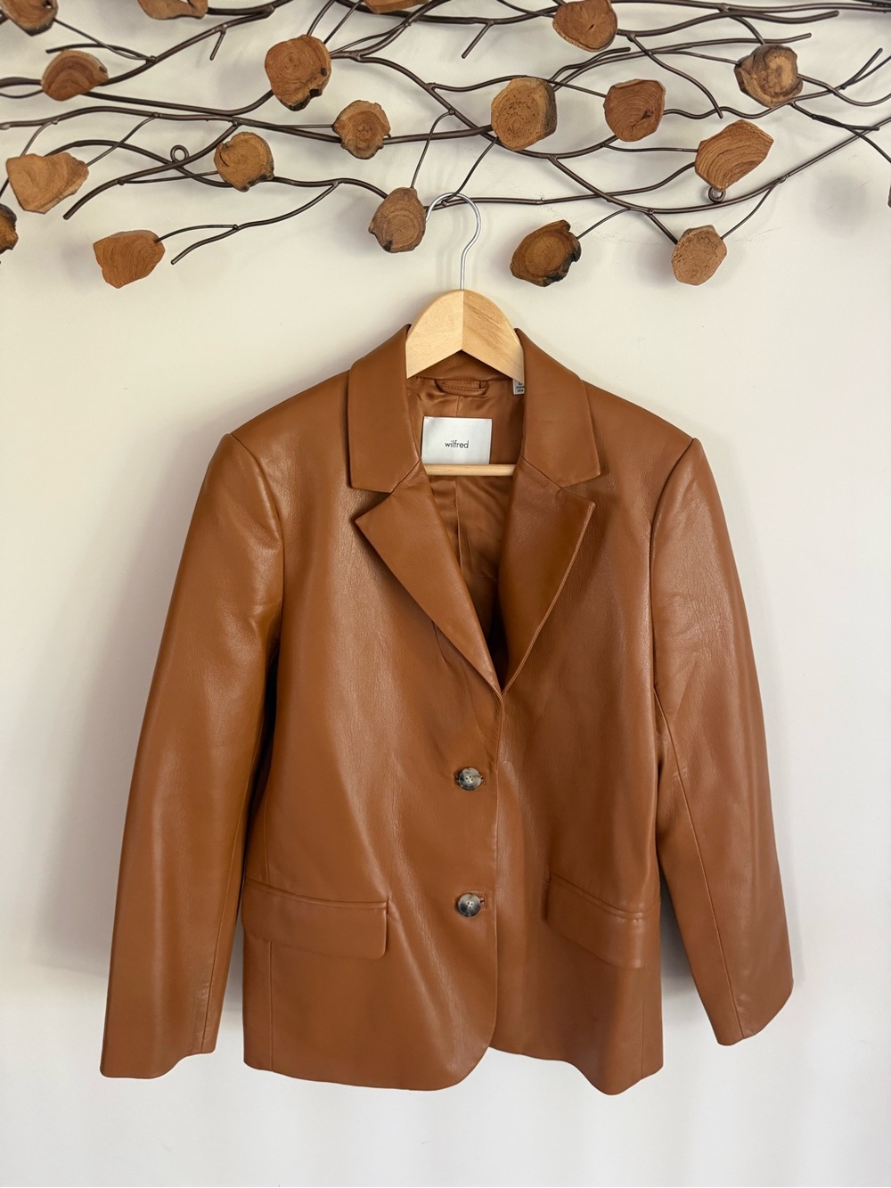 Wilfred Aritzia Blazer